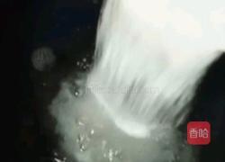 火龙果酸奶冰粉的做法图解4