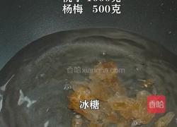紫苏杨梅桃子姜 夏日饮品 老长沙地道小吃的做法图解4