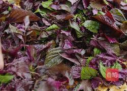 自制香辣紫苏调料 炒虾炒牛蛙焖鱼太好吃了的做法图解1