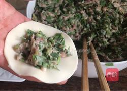 马齿苋韭菜馅饺子的做法图解12