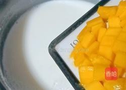 芒果奶冻的做法图解8