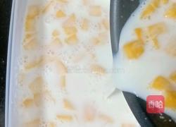 芒果奶冻的做法图解9