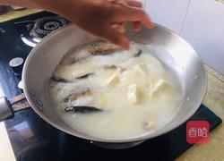 鲫鱼冬瓜豆腐汤的做法图解5
