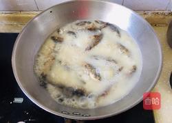 野生鲫鱼汤的做法图解3