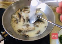 野生鲫鱼汤的做法图解4