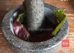 紫苏蒜蓉蒸茄子的做法图解5