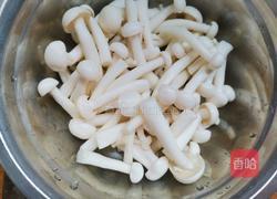 白玉菇豆腐汤的做法图解3