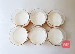 橙子布丁的做法图解9