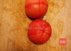 番茄炖牛腩的做法图解4