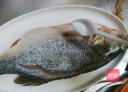 清蒸鲈鱼的做法图解3
