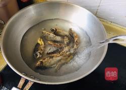 冬瓜鲫鱼汤的做法图解2