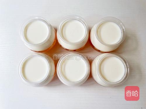 倒入布丁杯，放入冰箱冷藏至凝固