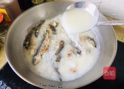 野生鲫鱼汤的做法图解3