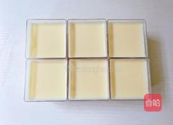 百香果奶冻的做法图解11