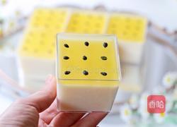 百香果奶冻的做法图解15