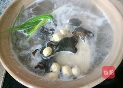 霍山石斛炖鸡的做法图解6