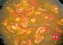 番茄豆腐瘦肉汤的做法图解10
