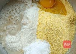 玉米面发糕(双色)的做法图解4