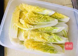 泡椒娃娃菜的做法图解3