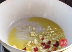 辣炒马齿苋的做法图解5