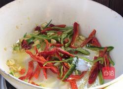 辣炒马齿苋的做法图解7