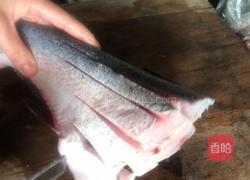 麻辣烧鱼划的做法图解1