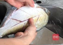 红烧武昌鱼的做法图解3