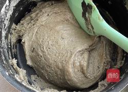 豹纹饼干的做法图解8