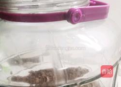 葡萄果醋的做法图解6