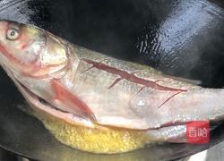 子姜烧全鱼的做法图解6