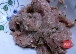 雪花肉沫腐皮卷的做法图解2