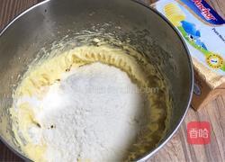 双色黄油曲奇的做法图解5