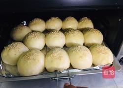 奶香小餐包的做法图解15