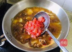 西红柿土豆炖牛肉的做法图解5