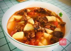 西红柿土豆炖牛肉的做法图解9