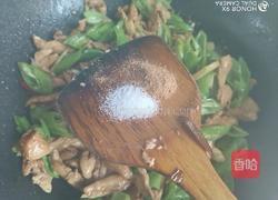 小炒鸡胸肉的做法图解9