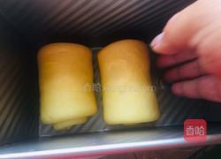 南瓜土司的做法图解10