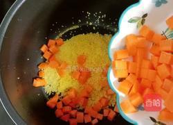 鸡肉小米萝卜粥的做法图解5