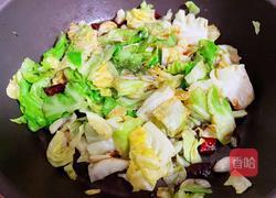 蚝油包菜的做法图解8