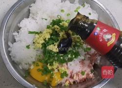 白萝卜猪肉饺子的做法图解5