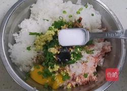 白萝卜猪肉饺子的做法图解7