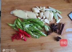 白萝卜炖鸭肉的做法图解6