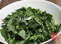 苕叶鸡蛋饼的做法图解1