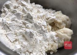 豆渣丸子的做法图解1
