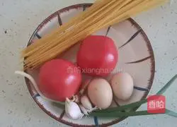 Illustration of Italian recipes for tomatoes and eggs 1
