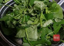 醋溜苕尖的做法图解1