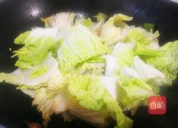 五花肉烧大白菜的做法图解6