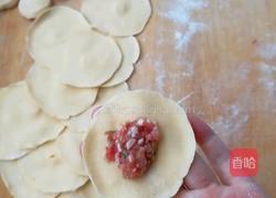 胡萝卜水饺的做法图解7