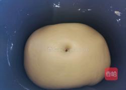 淡奶油小餐包的做法图解6