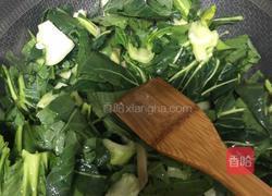 青菜焖平菇的做法图解2